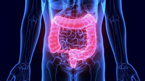 Six Ways To Reduce Your Risk Of Having Colon Pain Glenview Terrace