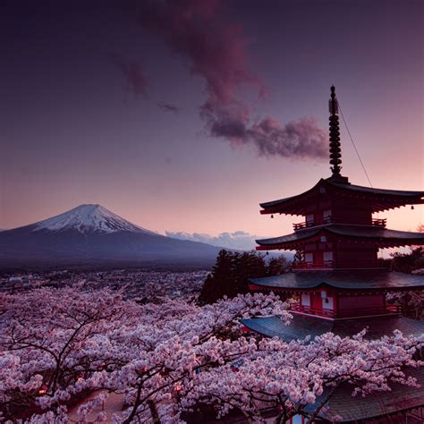 Cosas Que Ver Y Hacer En Japón Viaje A Japón Guia De Viaje Japon