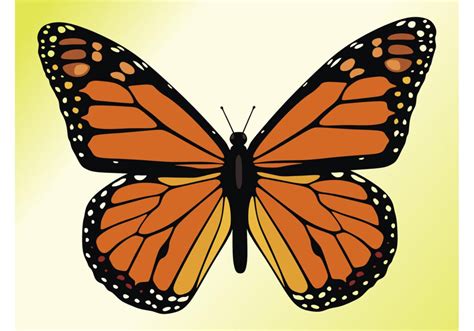 Monarch Butterfly Download Free Vector Art Stock Graphics Images
