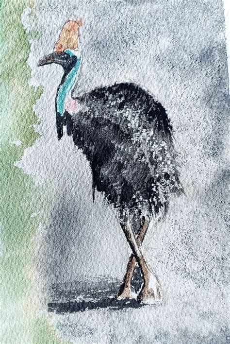Australian Cassowary Large Bird Watercolor Painting Print Blank