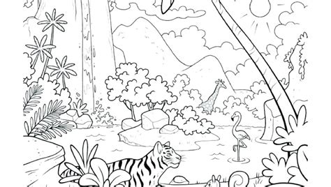 Tropical Rainforest Animals Coloring Pages At Free