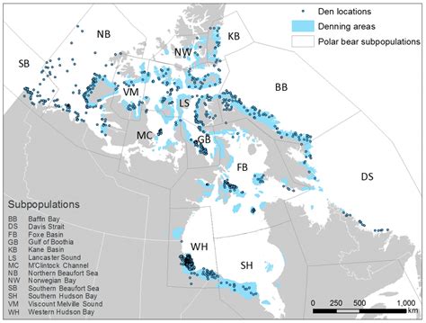 Scientists Map The Canadian Arctics Polar Bear Dens