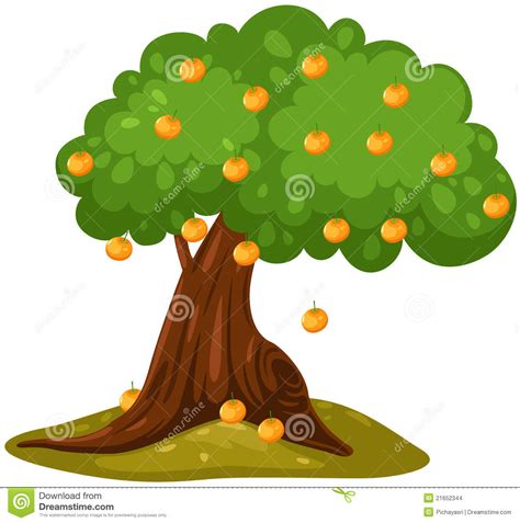 Orange Tree Clipart Free Download On Clipartmag