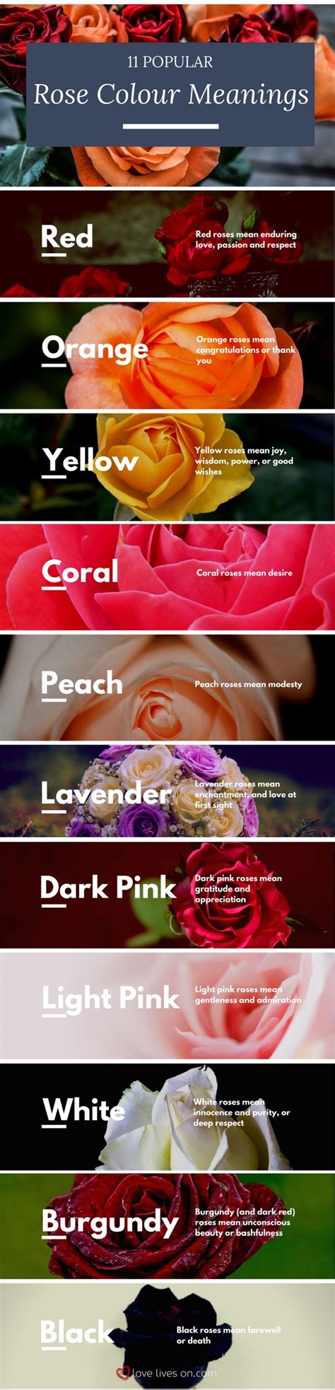 Funeral Flowers And Their Meanings The Ultimate Guide Rose Color