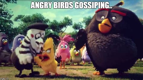 Angry Birds Gossiping Imgflip