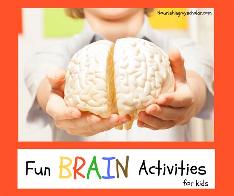 Fun Brain Activities for Kids | Fun brain, Brain ...