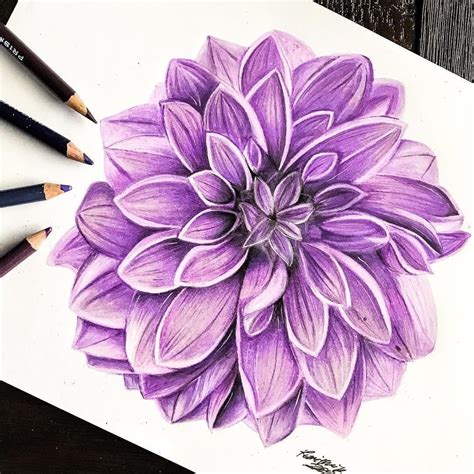 Art Colored Pencil Techniques Flowers Learn To Choose The Right