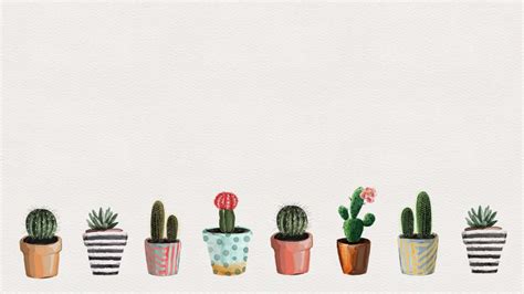 Download Cute Potted Cacti Minimalist Plant Desktop Wallpaper
