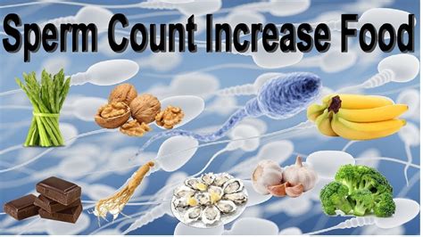 Increase Sperm Count 8 Fabulous Foods That Boost Sperm Count Develop