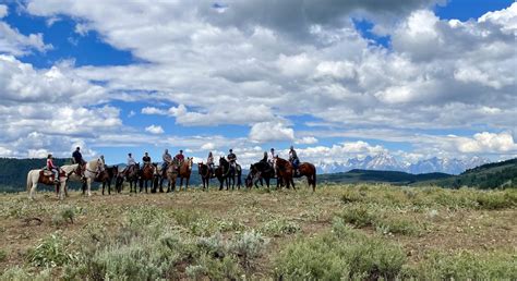 Yellowstone Horseback Riding Trail Rides Yellowstone Outfitters