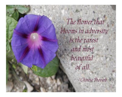 The flower that blooms in adversity is the rarest and most beautiful of all. i'm having issues because the quote is said by mulan in walt disney's mulan. The Flower That Blooms In Adversity And Most Beautiful Of All - Chinese Proverb - Quotespictures.com