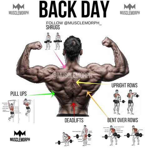Back Day Back Exercise Back Workout Gym Bodybuilding Fitness Musclemorph