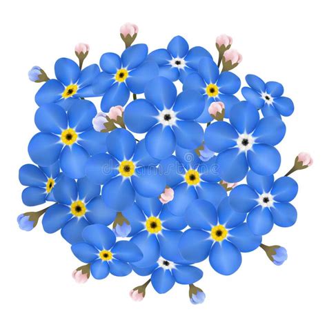 Branch Of Blue Forget Me Not Flowers Isolated Stock Vector