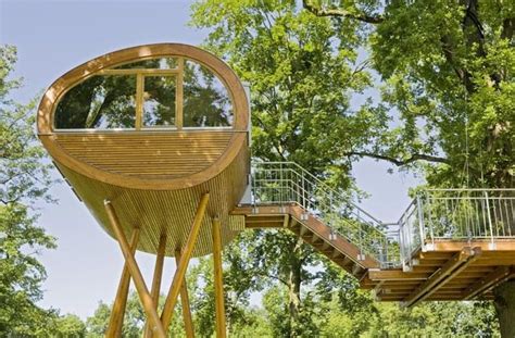 Baumraums World Of Living Tree House Sits On Spiders Legs Cabana