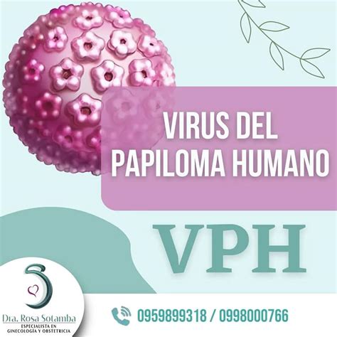 Virus Del Papiloma Humano Vph Dra Rosa Sotamba