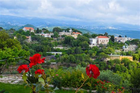 100 Northern Lebanon Photos Stock Photos Pictures And Royalty Free