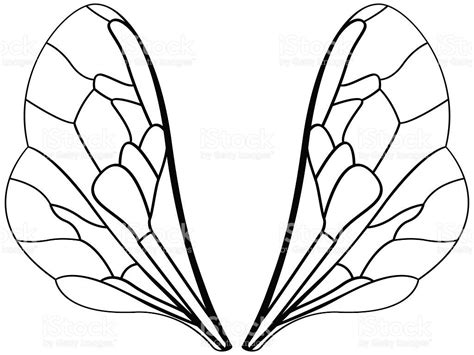 Illustration Of The Insects Wings Insect Wings Bugs