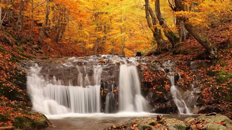 Landscapes Nature Waterfall Rivers Trees Forest Autumn