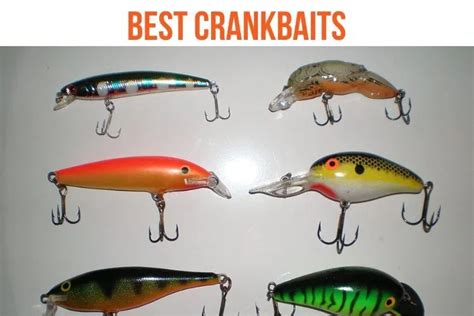 Crankbaits Are One Of The Most Popular Hard Lures In North America We