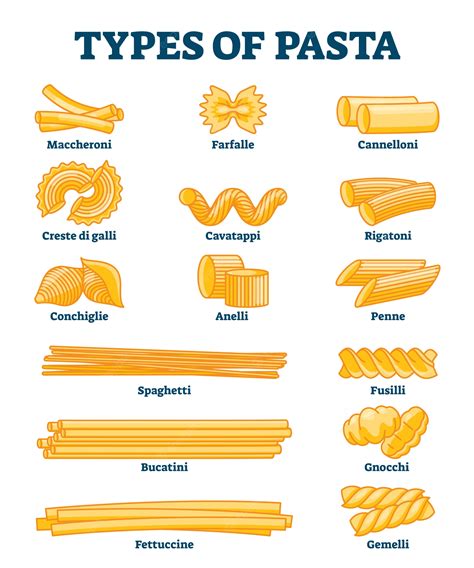 Premium Vector Types Of Pasta Illustration Labeled Italian Cuisine
