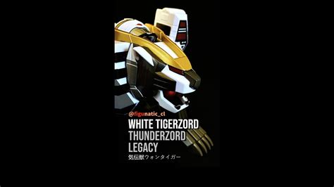 White Tigerzord Thunderzord Won Tiger Transformation Power