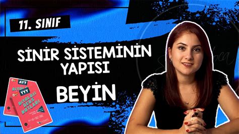 3 SİNİR SİSTEMİNİN YAPISI BEYİN 11 SINIF DETAYLI KONU ANLATIMI