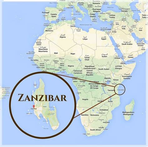 Zanzibar detailed profile, population and facts. Daily Kos: White Privilege Working Group