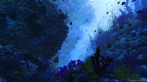 Underwater Backgrounds Wallpapersafari