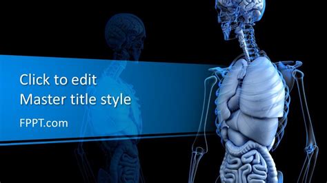 Free Anatomical Powerpoint Template Free Powerpoint Templates