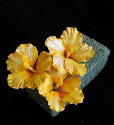 These beautiful, hibiscus inspired fantasy flowers are approximately 4.5 wide. Gum Paste Hawaiian Hibiscus Cake Decorations Yellow ...