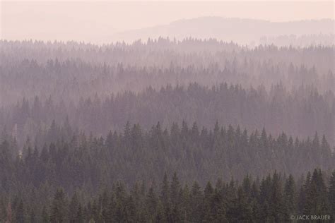 Durmitor Rainy Forest Durmitor Montenegro Mountain Aesthetic