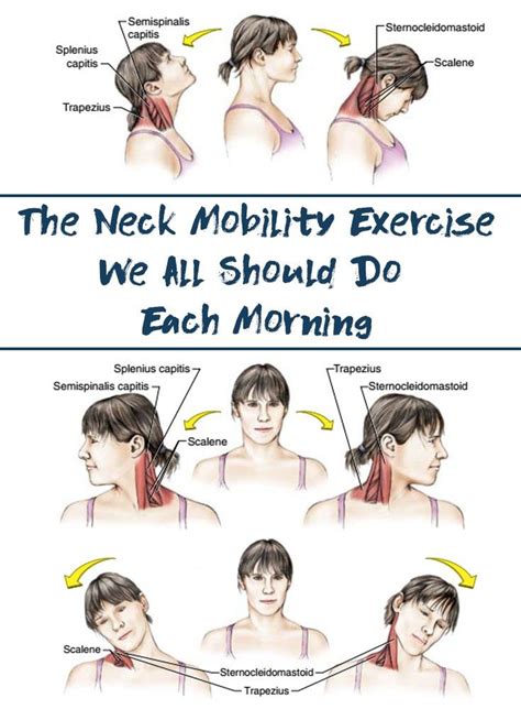 Neck Mobility Exercises We All Should Do Each Morning Fitness Neck