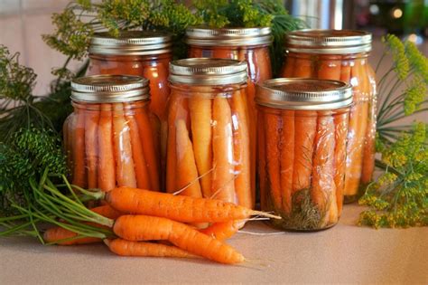 Canning Beans And Carrots The Easy Way 101 Ways To Survive