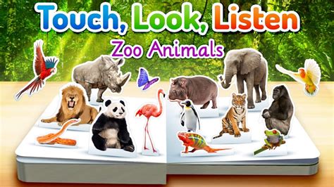 Zoo Animals Touch Look Listen First Words App For Kids Ipad