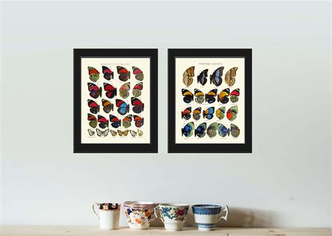 Butterfly Print Wall Art As182 Beautiful Antique Vintage Etsy