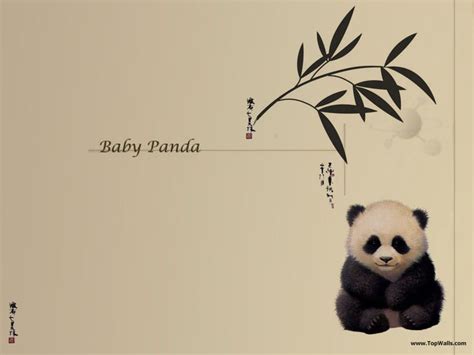 Baby Panda Wallpaper Pandas Wallpaper 631180 Fanpop