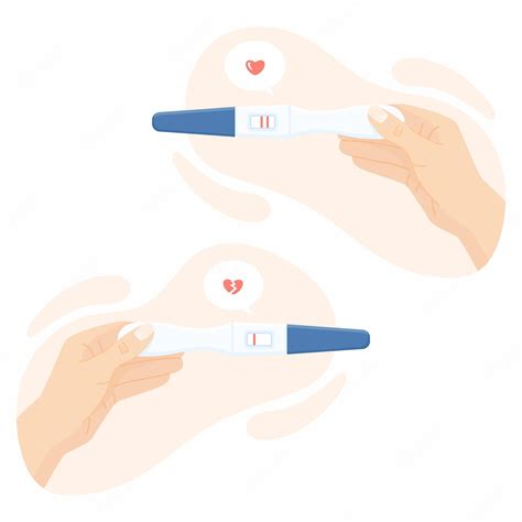 Premium Vector Pregnancy Or Ovulation Positive And Negative Test In