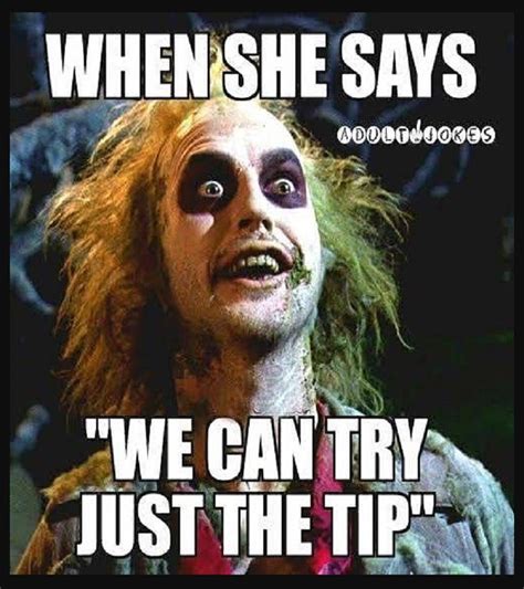 When She Says We Can Try Just The Tip Funny Adult Humor