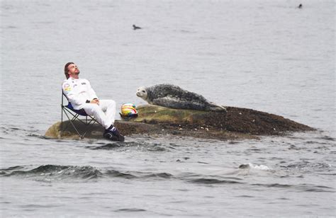 The best meme creator online! Fernando Alonso se asoleó en el GP de Brasil y los memes ...