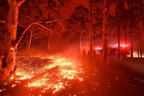 Latest Photos Of The Devastating Australian Bushfires Bbc News