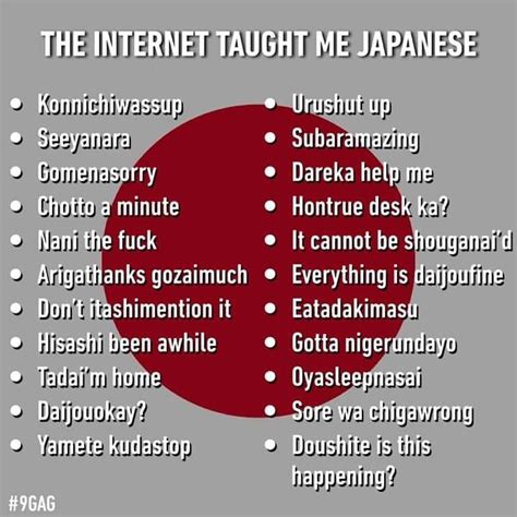 Pin By Francis Alvarez On Memes Japanese Funny Japanese Phrases