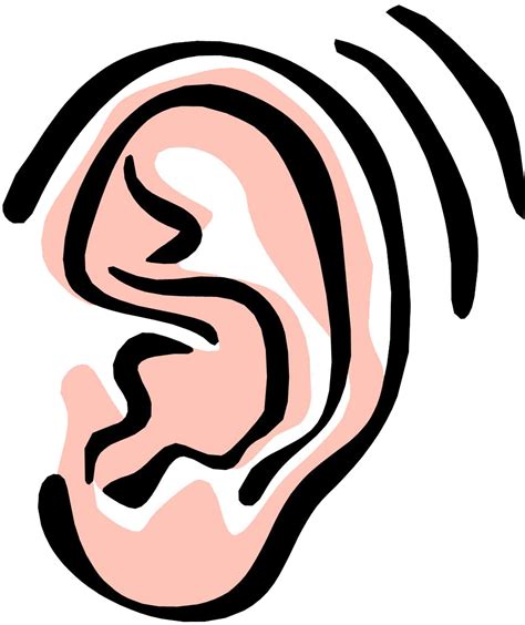 Clipart Ear Animated Clipart Ear Animated Transparent Free For