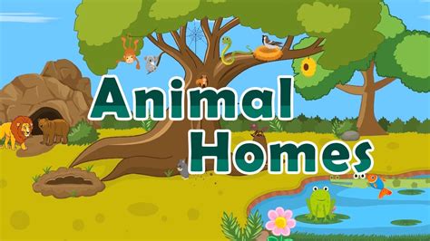 Animal Homes Animals And Their Homes Animal Homes For Kids