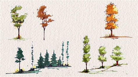 Drawing Trees For Architectural Sketches Youtube