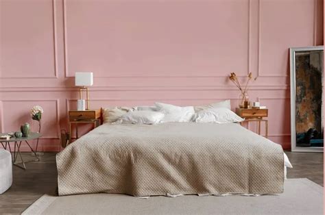 Sherwin Williams Bella Pink Sw 6596 28 Real Home Pictures