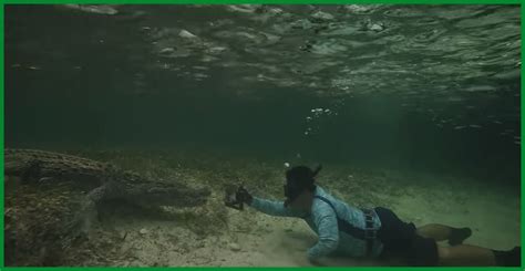 Fearless Divers Thrilling Encounter Swimming With Crocodiles At