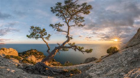 Crimea Landscape Coast With Pine Tree And Sea During Sunset Hd Nature