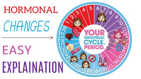 How Does The Menstrual Cycle Work The Importance Of Progesterone In