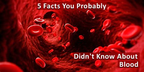 5 Facts You Probably Didnt Know About Your Blood Medivizor