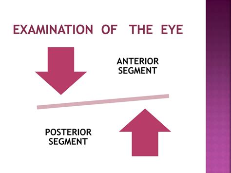 Ppt Examination Of The Eye Powerpoint Presentation Free Download